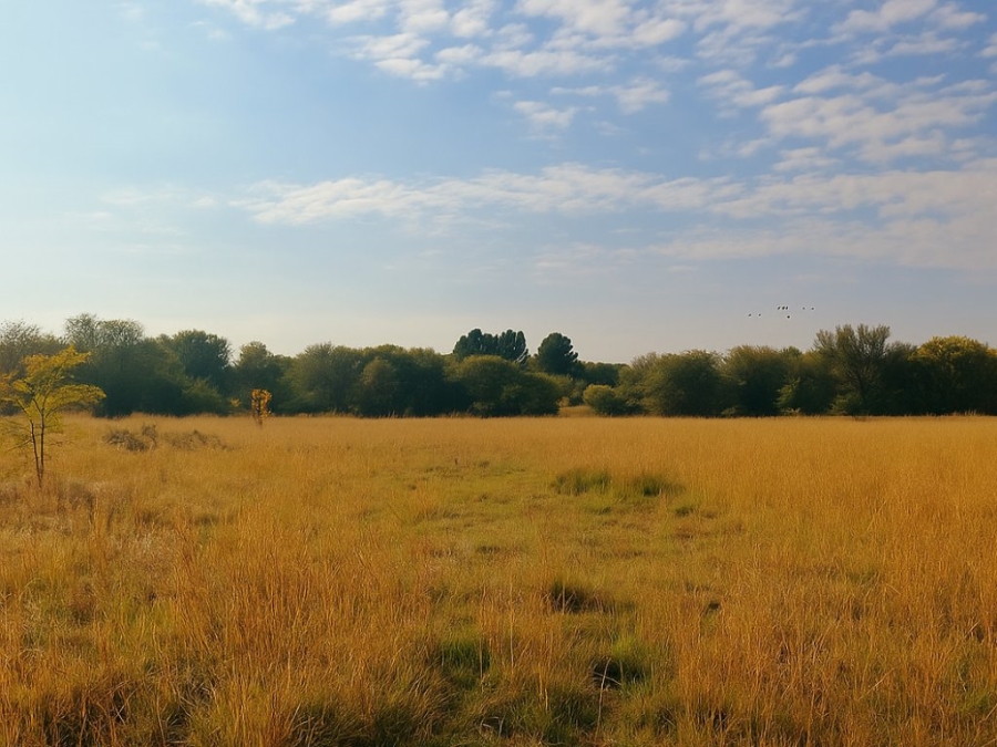  Bedroom Property for Sale in Bloemfontein Rural Free State